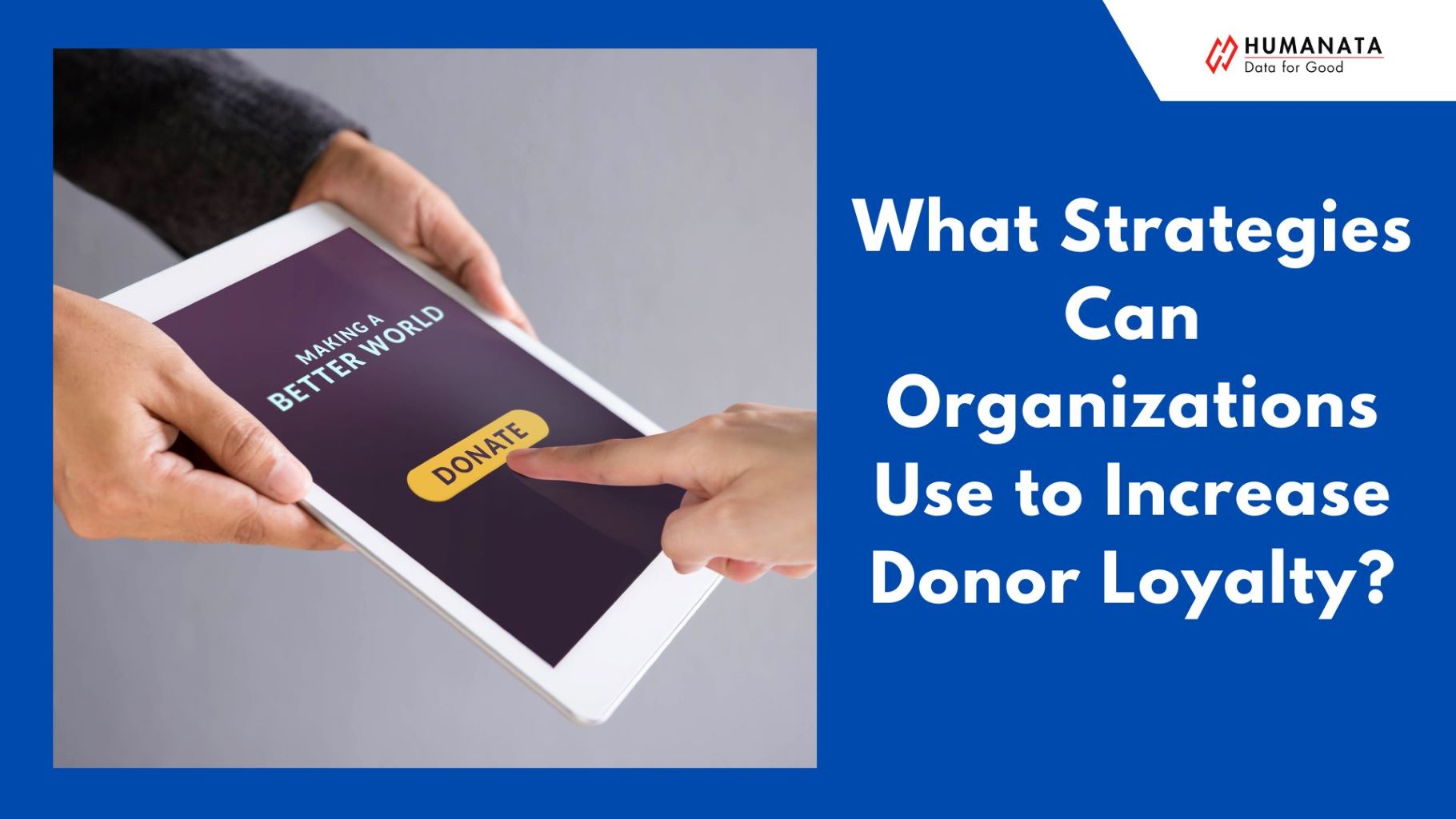 What Strategies Can Organizations Use to Increase Donor Loyalty